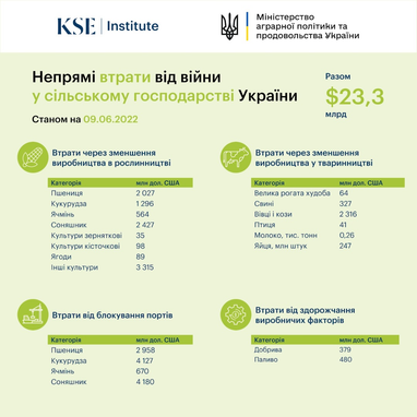 Непрямі втрати у сільському господарстві України оцінюються у $23,3 мільярда