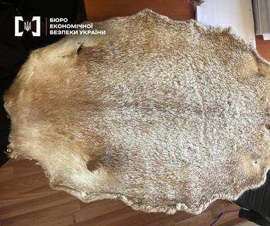 Контрабанда меха более чем на 11 млн грн