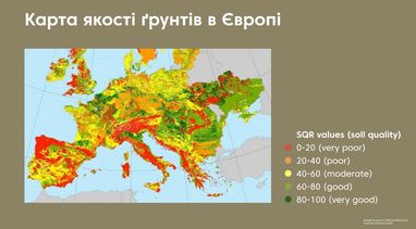 Хто зараз інвестує в землю. Портрет інвестора