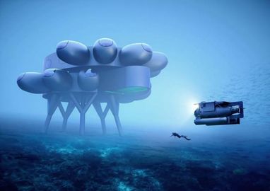 Французи побудують міжнародну підводну станцію