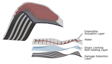 Инженеры разработали искусственную мышцу для роботов