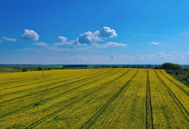 Фонд гарантування продає дві земельні ділянки у біля Києва