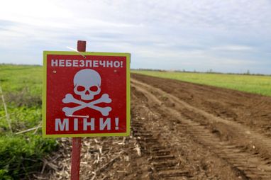 В Украине заработала программа компенсации аграриям за разминирование земель