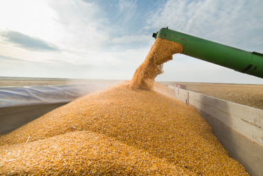 Европейские фермеры получат 56 миллионов евро из-за избытка украинского зерна