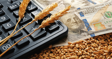 Рентабельность украинских агропредприятий снизилась более чем в 4 раза из-за войны — результаты исследования Agrohub