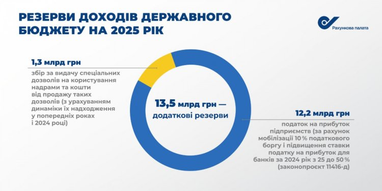 Доходи держбюджету-2025 можна збільшити на 13,5 млрд грн — Рахункова палата