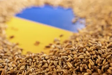Хорватія пропонує Україні альтернативний маршрут для «зернового коридору»