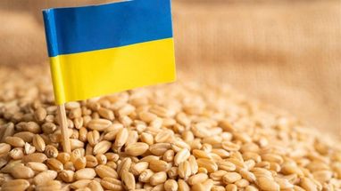 В ЕС достигли компромисса по агроимпорту Украины: Еврокомиссия введет ограничения по 5 товарам