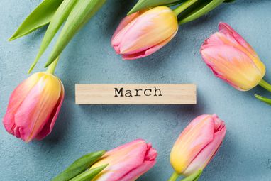 Что изменится в Украине с 1 марта: индексация пенсий, цены на лекарства, новые фискальные чеки