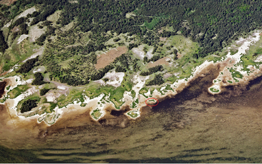 Балтійська держава відкрила 95 нових островів