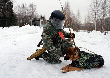 Российских саперов оденут в уникальные полиэтиленовые костюмы (ФОТО)