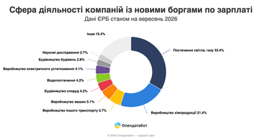 Сфера деятельности компаний с новыми долгами по зарплате