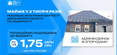 Цена выросла в 2 тысячи раз: рекордно продали государственный объект в Закарпатье