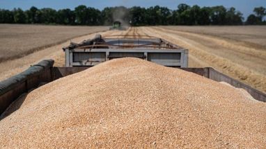 Україна готова до системи ліцензування експорту агропродукції до Польщі — міністр