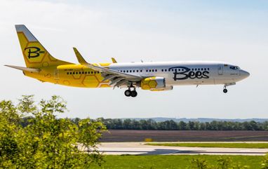 Bees Airline – самая молодая украинская авиакомпания, получившая сертификат эксплуатанта 12 марта 2021 года