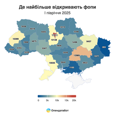 Який бізнес відкривають українці у 2025: аналітика за сферами і регіонами (інфографіка)
