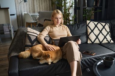 Арендодатели все больше адаптируются к спросу, и шансы найти жилье с любимцем в определенных областях заметно возрастают