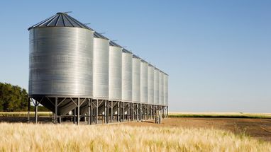 Україна просить ЄС допомогти зі сховищами для зерна