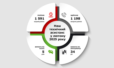 Технический ассистанс в феврале 2025 года