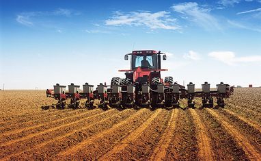 Украина ожидает засеять пшеницей в 2022 году 75% прошлогодних посевных площадей