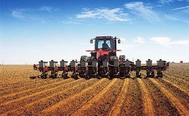 Украина ожидает засеять пшеницей в 2022 году 75% прошлогодних посевных площадей