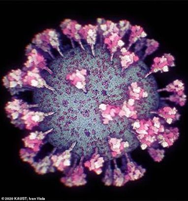 Вчені створили найточнішу 3D-модель коронавірусу (фото, відео)