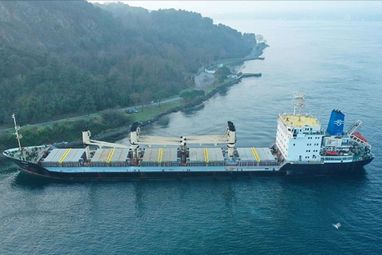 За сутки простоя судна с украинской агропродукцией в Босфоре трейдеры теряют от $20 тысяч