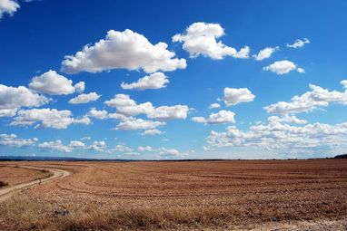 В Украине упала средняя стоимость сельскохозяйственной земли