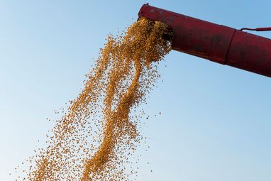 Україна та ООН напрацьовують нові маршрути для Grain from Ukraine — Зеленський