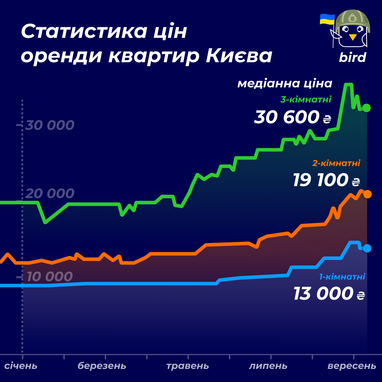Инфографика: bird