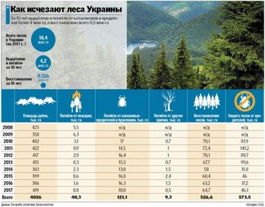Масштаби вирубки українських лісів за останні роки (інфографіка)
