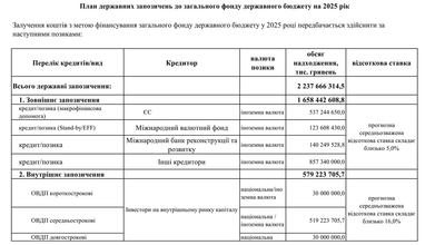 У бюджеті-2025 не визначені джерела міжнародної допомоги на 19 млрд доларів