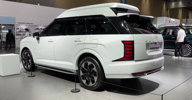 Hyundai Palisade получил версию с высокой крышей (фото)