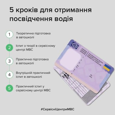 Инфографика: Главный сервисный центр МВД
