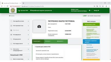 Как оформить пенсию, не выходя из дома: пошаговая инструкция