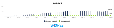 Количество новых бизнесов растет: работу ищут айтишники, женщины и кандидаты без опыта (инфографика)