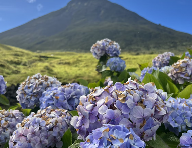 ТОП-7 самых красивых мест в Европе — Lonely Planet (фото)