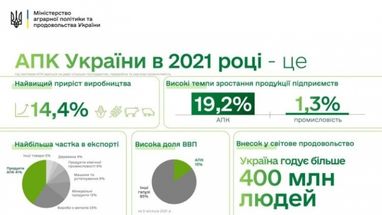 Украина снабжает продовольствием 400 миллионов людей во всем мире — Минагрополитики