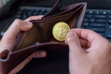 Чверть українців вірять, що держава відшкодовує криптовалюти — опитування