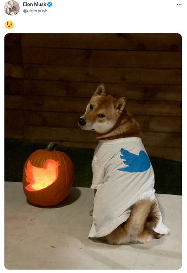 Стоимость мем-токена DOGE взлетела на 29% после твита Илона Маска