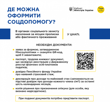 Кому з українців передбачені соціальні виплати замість пенсії (інфографіка)