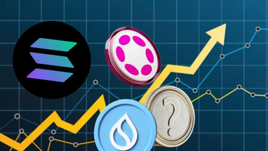 Рыночные лидеры этой недели: Sui, Solana, Polkadot и XYZVerse