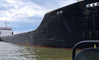 Фальшивий прапор не допоміг: Україна арештувала судно рф із краденим зерном з Криму