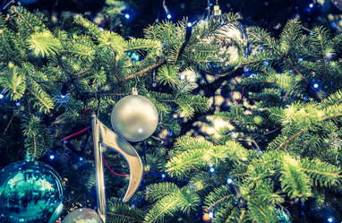 Які ціни на ялинки в 2025 році: де дешевше