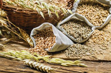 Близько 40% врожаю зернових уникає оподаткування, Україна втрачає мільярди — The Economist