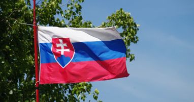 Украина в последний раз получала аварийные поставки электроэнергии из Словакии в январе