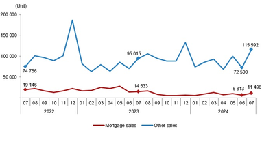 Продажі будинків за типами, липень 2024 р.