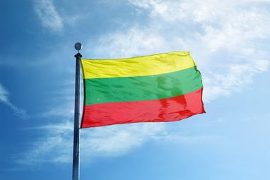 Стало відомо, скільки українських біженців у Литві планують повернутися в Україну