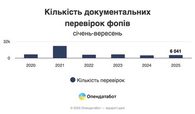 Налоговая все чаще проверяет ФЛП — какие суммы начисляют