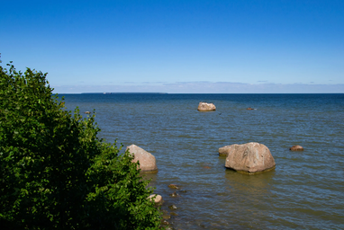 По два євро за метр: Естонія пустить з молотка острів у Балтійському морі